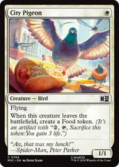 City Pigeon #769