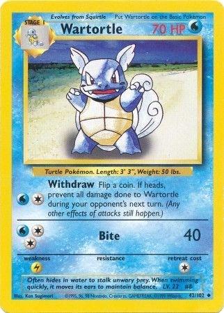 Wartortle #42