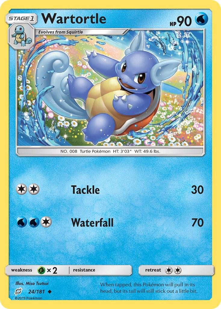 Wartortle #24